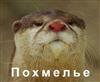 скачать рукоделие